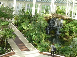 Temperate House (Inside view of Worlds Largest Glass House)